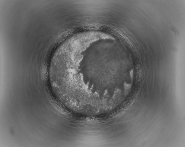 X0000112360641200909031911