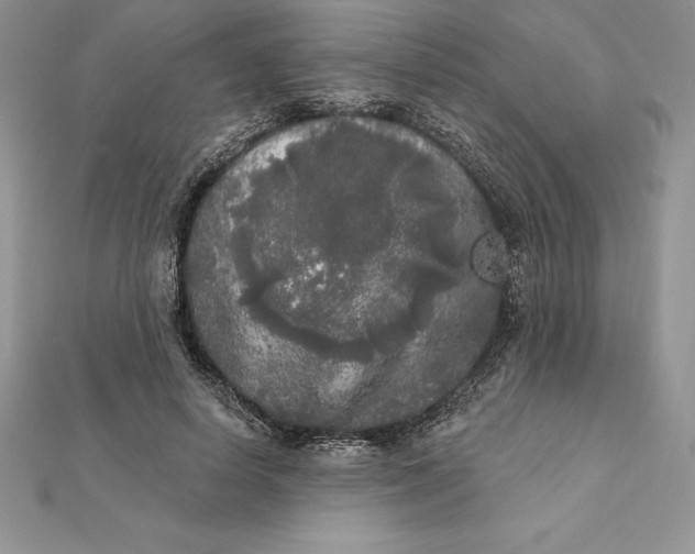 X0000112360642200909031911