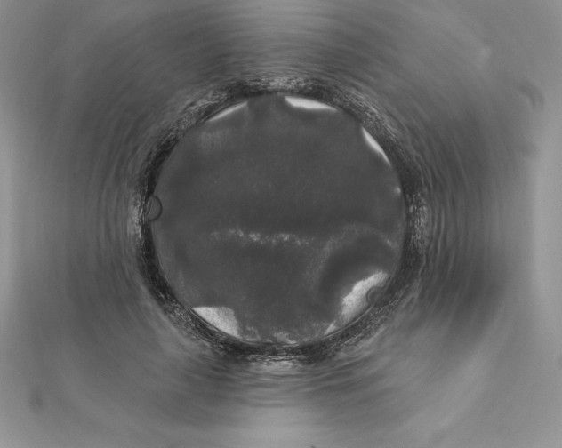 X0000112360643200909031911