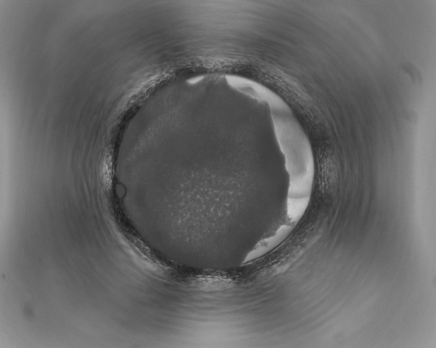 X0000112360644200909031911