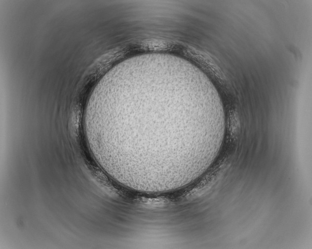 X0000112360645200909031911