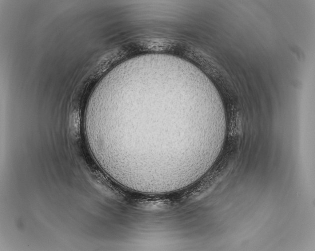 X0000112360646200909031911