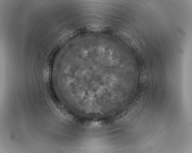 X0000112360647200909031911
