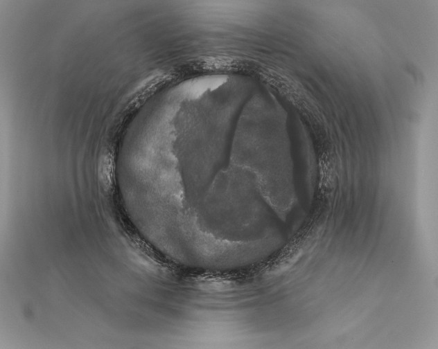 X0000112360648200909031911