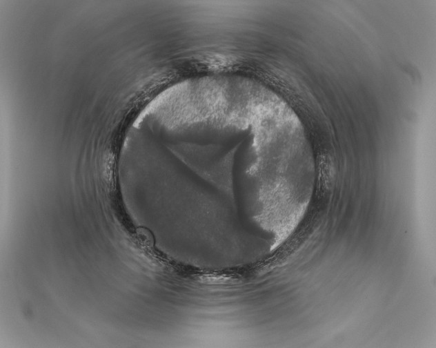 X0000112360650200909031911