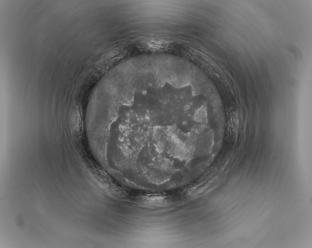 X0000112360651200909031911