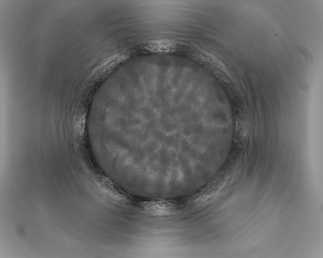 X0000112360652200909031911