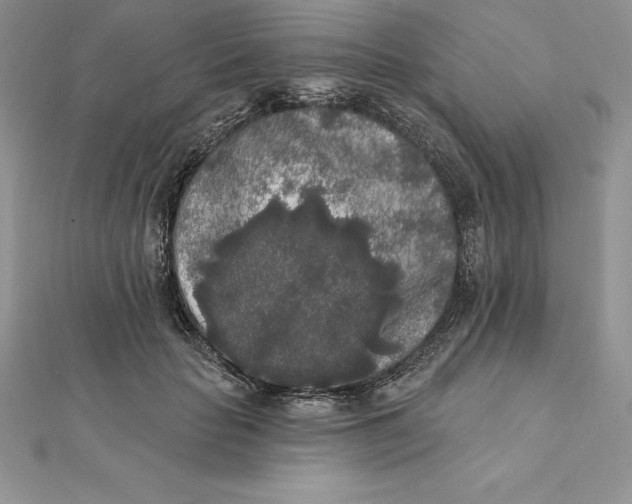 X0000112360653200909031911