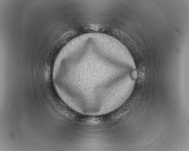 X0000112360656200909031911