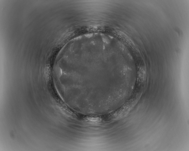 X0000112360659200909031911