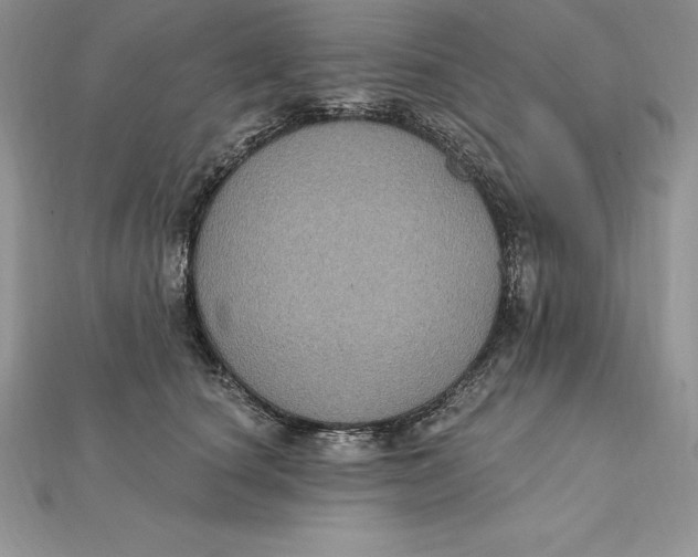 X0000112360660200909031911