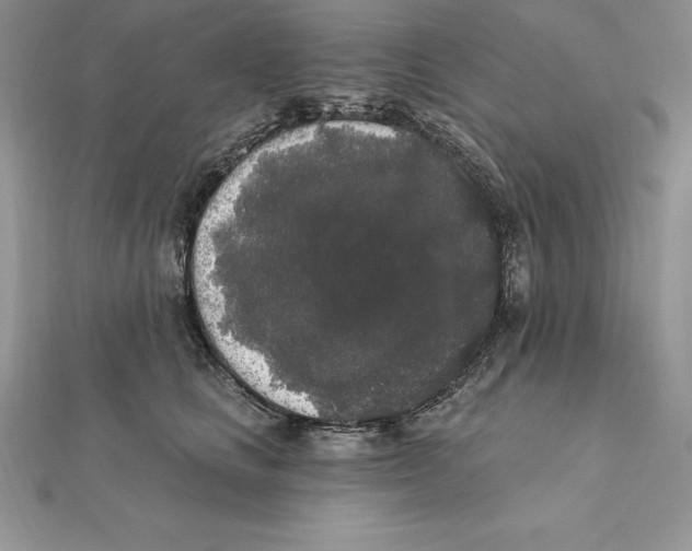 X0000112360661200909031911