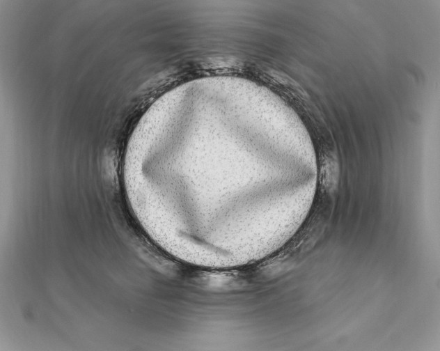 X0000112360662200909031911