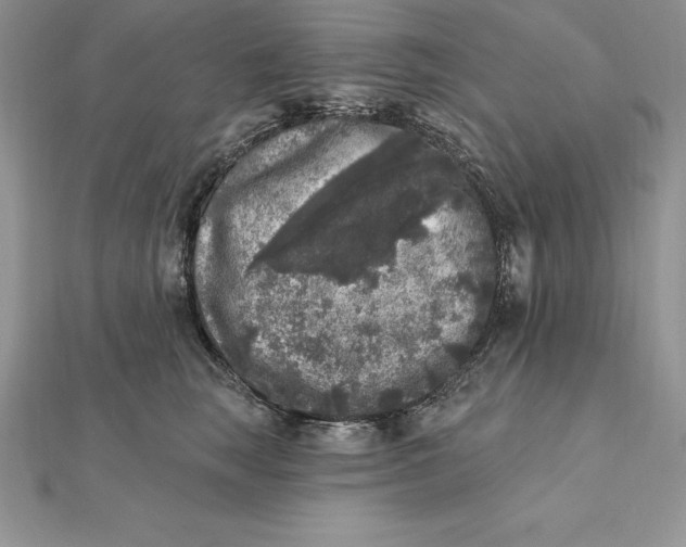 X0000112360663200909031911