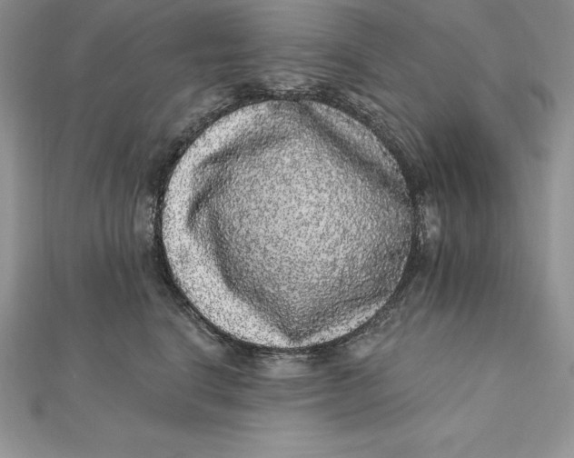 X0000112360664200909031911