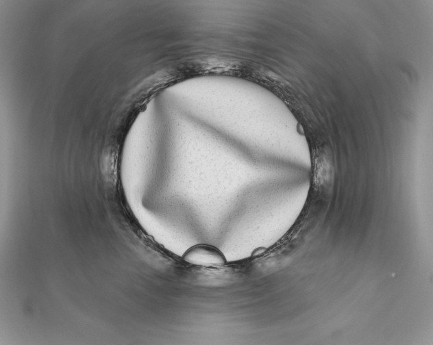 X0000112360666200909031911