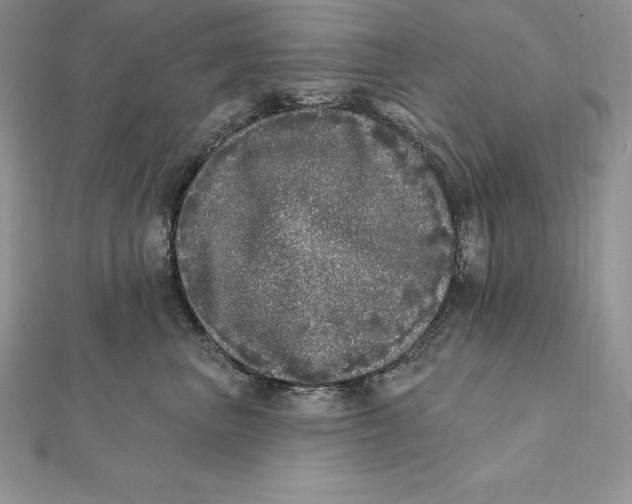 X0000112360667200909031911