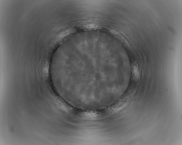 X0000112360668200909031911