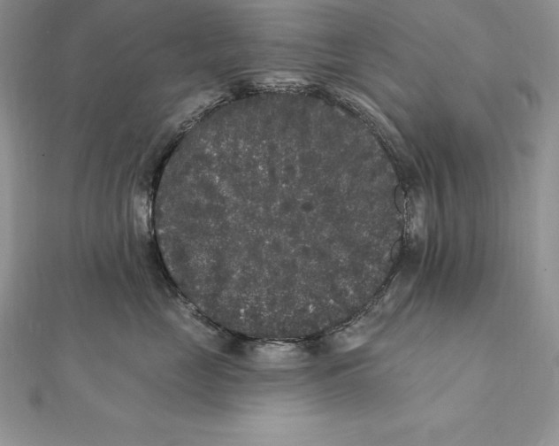 X0000112360669200909031911