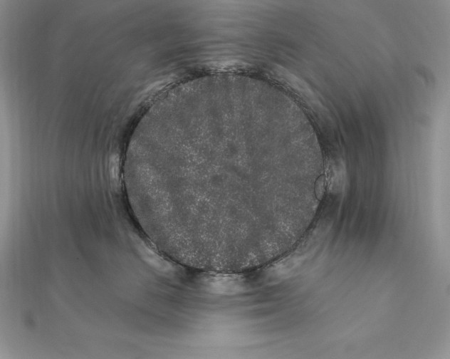 X0000112360670200909031911