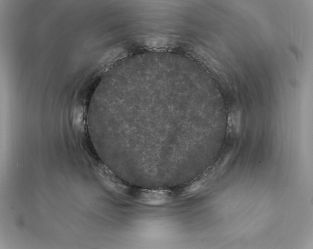 X0000112360671200909031911