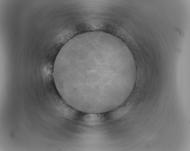 X0000112360672200909031911