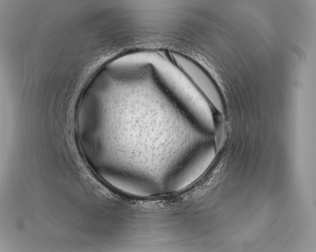 X0000112360673200909031910