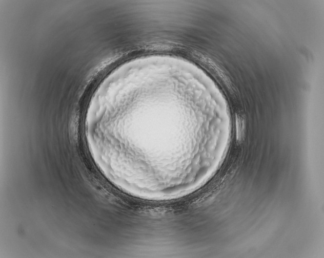 X0000112360675200909031910