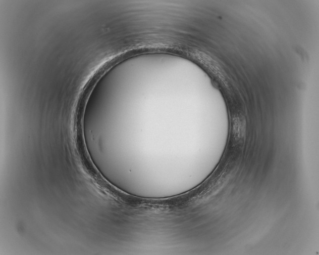 X0000112360676200909031910