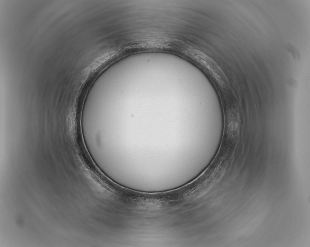 X0000112360677200909031910