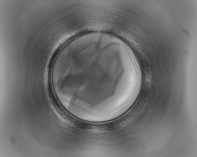 X0000112360678200909031910