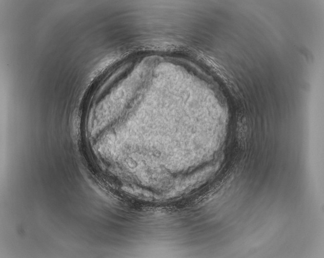 X0000112360679200909031910