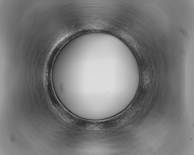 X0000112360680200909031910