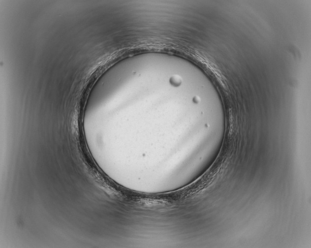 X0000112360681200909031910