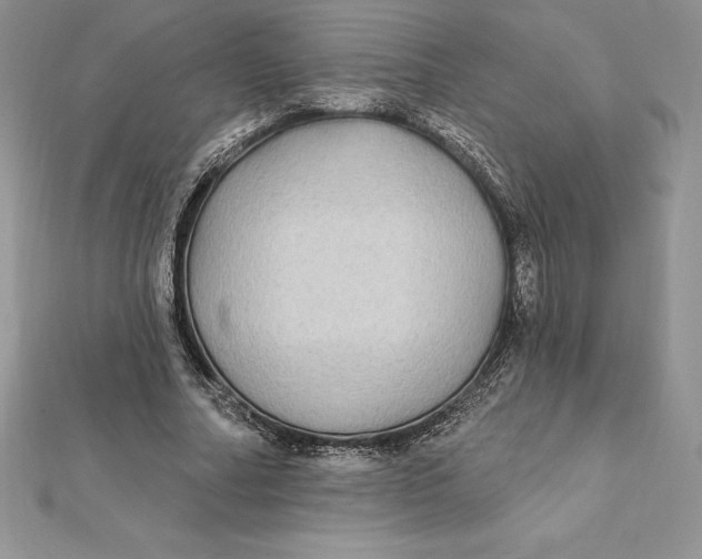 X0000112360682200909031910