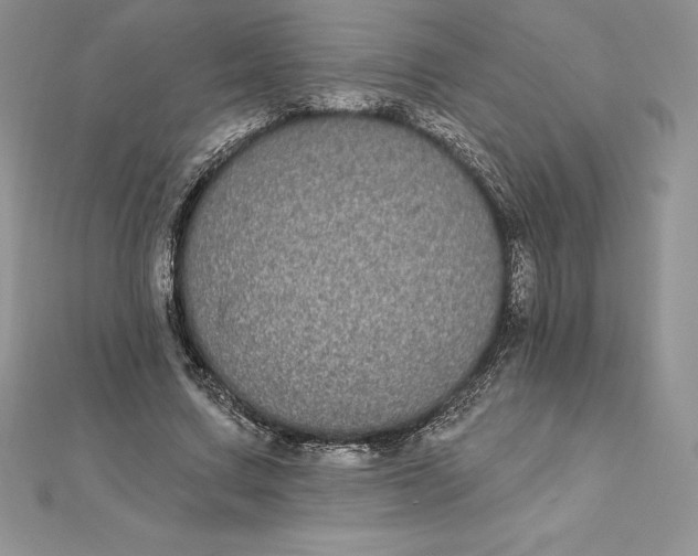 X0000112360683200909031910