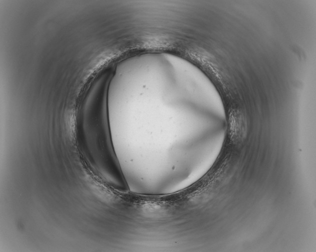 X0000112360684200909031910