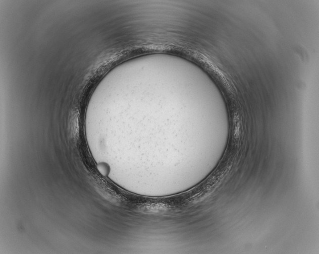 X0000112360685200909031910