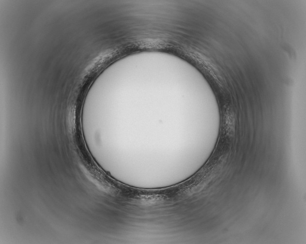 X0000112360686200909031910