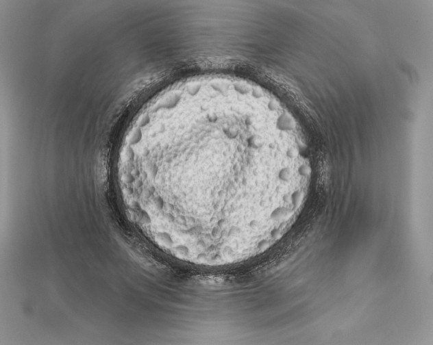 X0000112360687200909031910