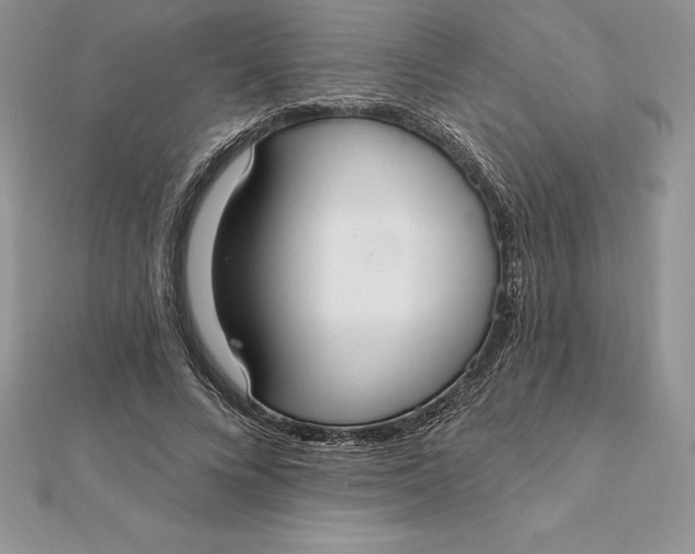 X0000112360688200909031910