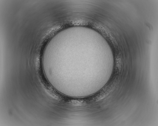 X0000112360690200909031910