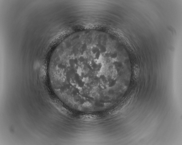 X0000112360691200909031910