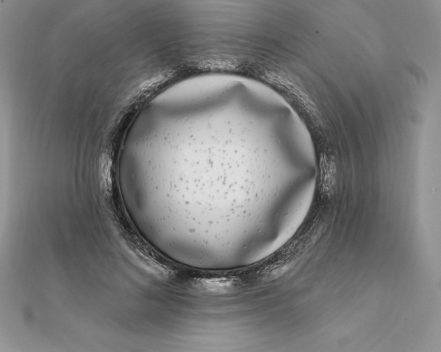 X0000112360692200909031910