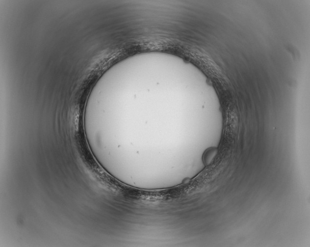 X0000112360694200909031910