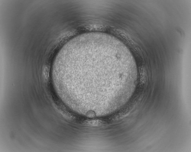 X0000112360695200909031910