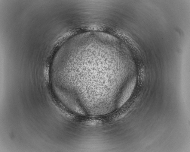 X0000112360696200909031910