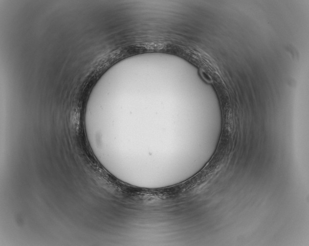 X0000112360697200909031910