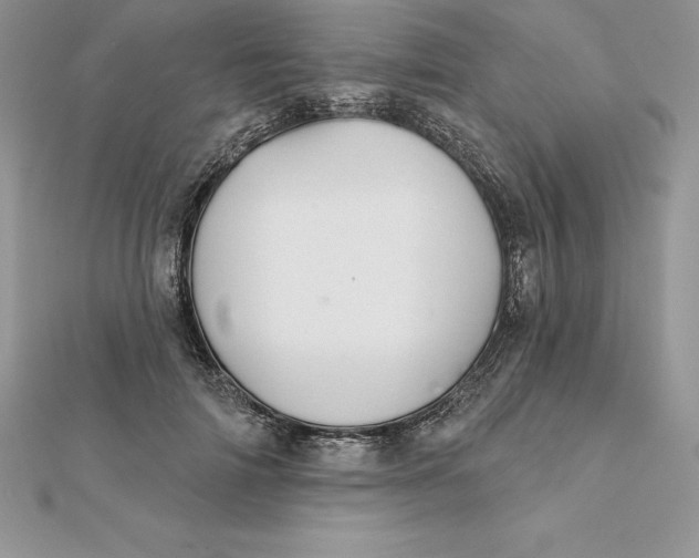 X0000112360698200909031910