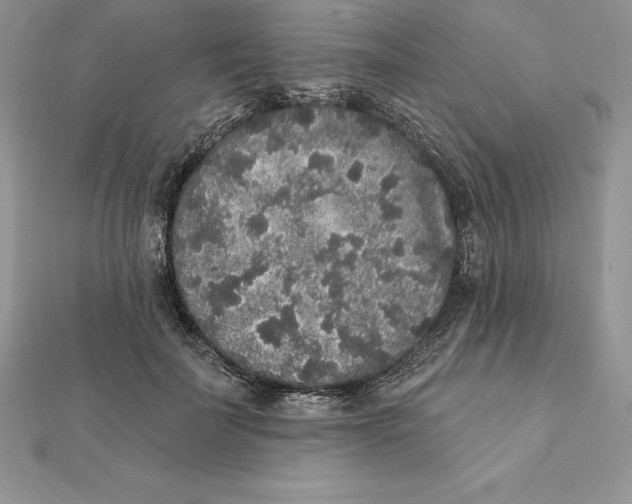 X0000112360699200909031910